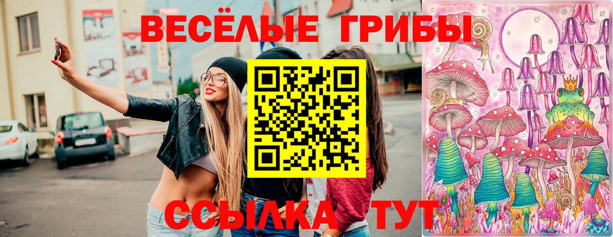 Псилоцибиновые грибы мицелий  Вход с VPN  Псилоцибиновые грибы мицелий  Сыктывкар 